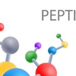 Important Factors to Consider When Choosing GHRP-6 Research Products