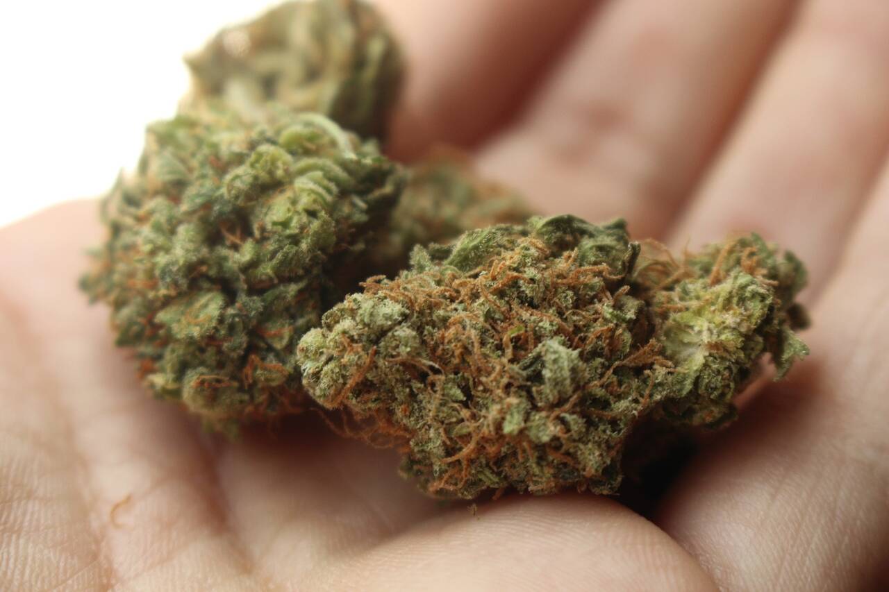 Right THCA Strain